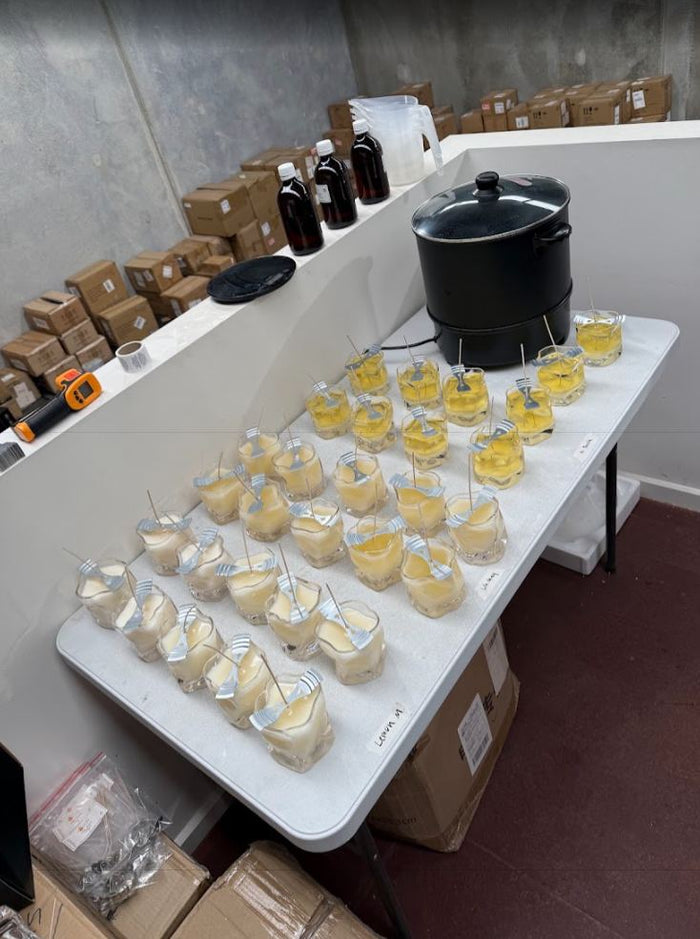 Freshly poured soy candles setting in Wave glasses, May 2025