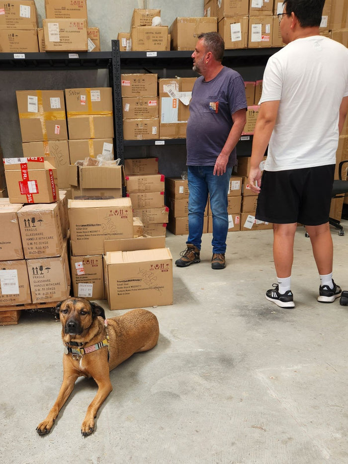 Luna, Geoff and Kadem in the warehouse, February 2025